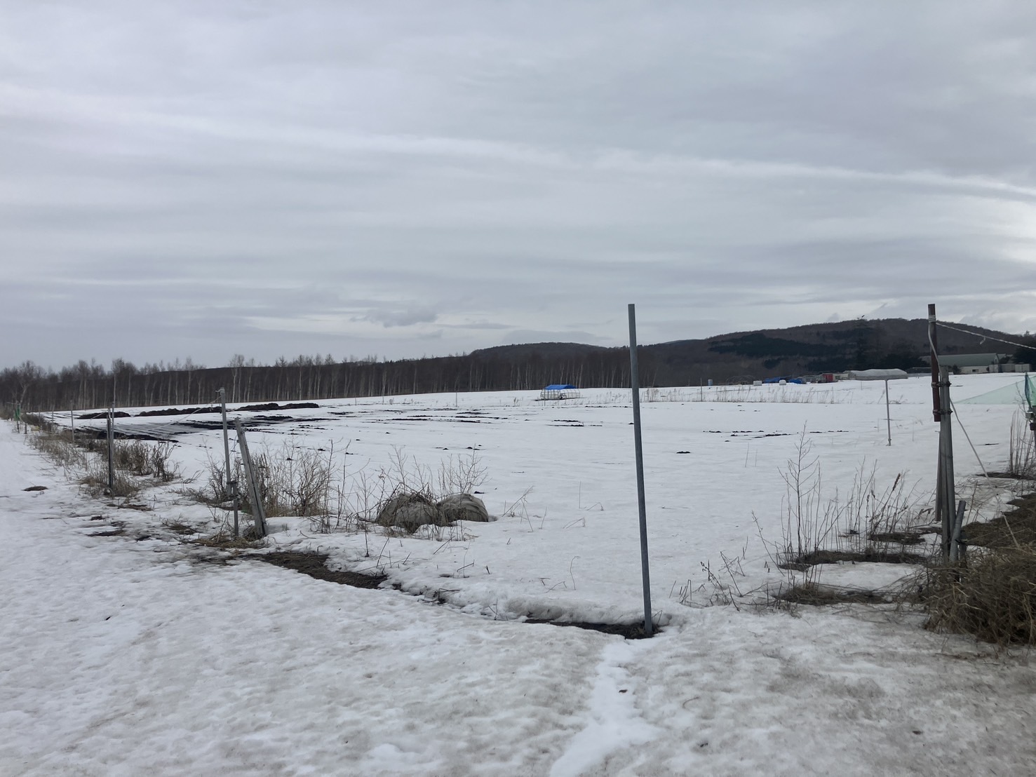 北広島市輪厚　古家付き農地