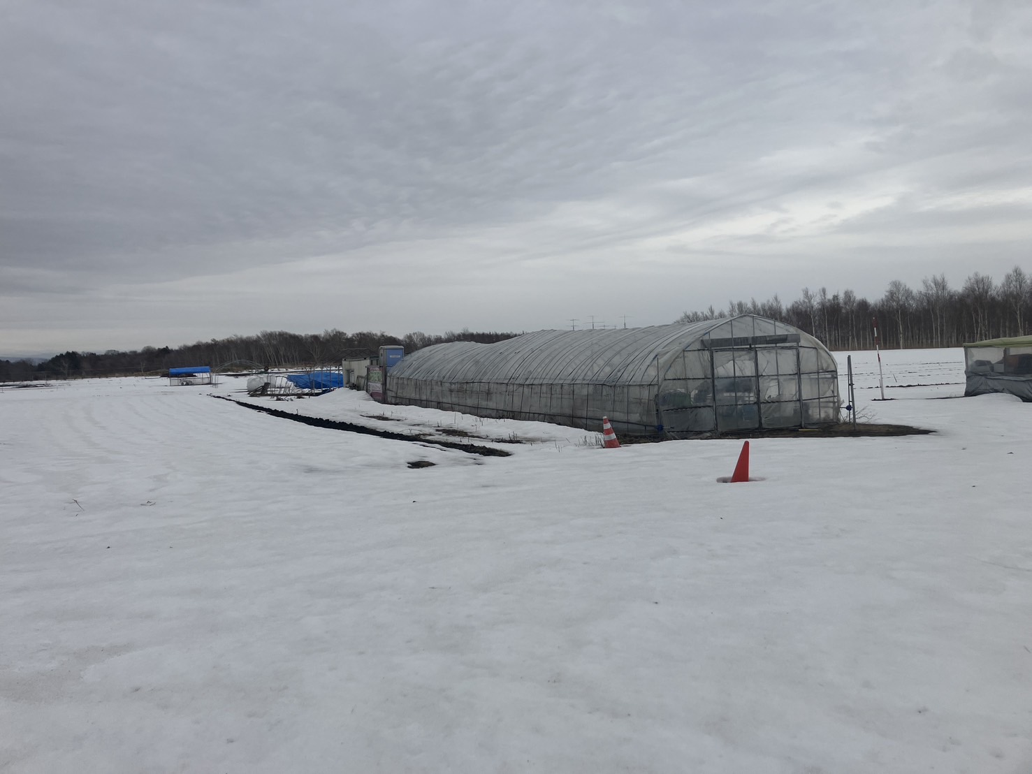 北広島市輪厚　古家付き農地