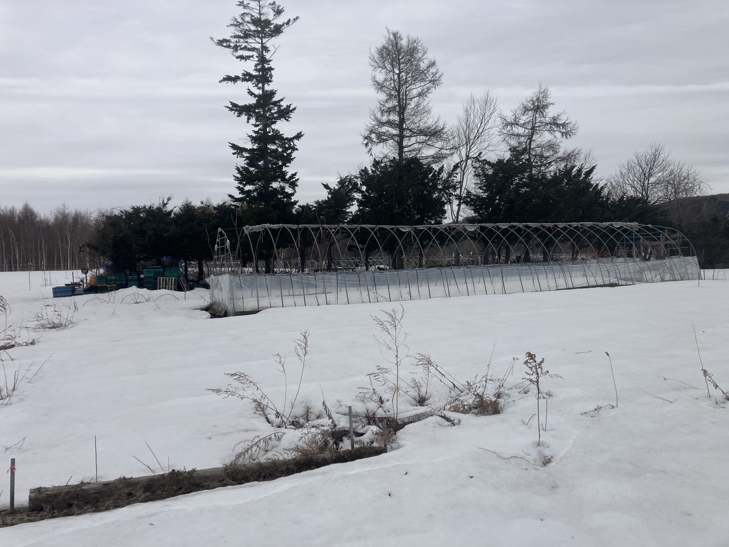 北広島市輪厚　古家付き農地