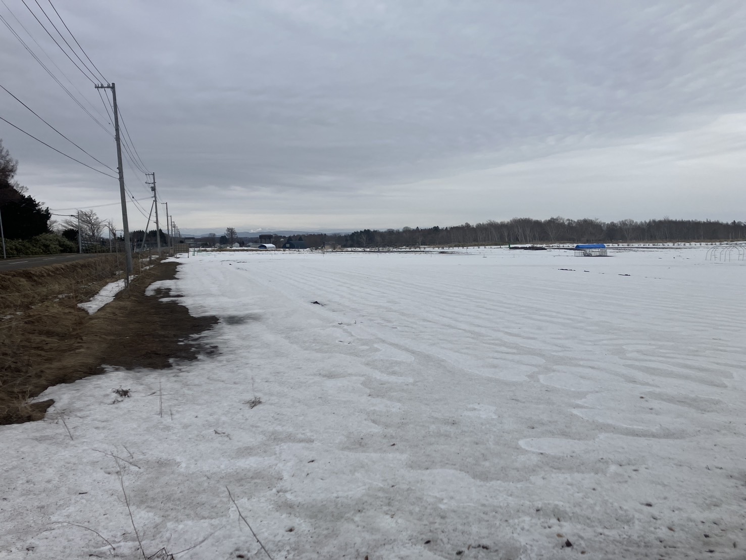 北広島市輪厚　古家付き農地