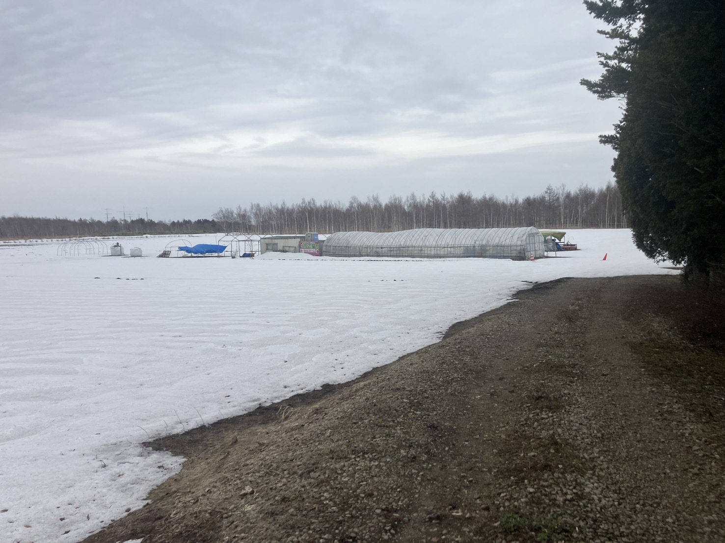 北広島市輪厚　古家付き農地