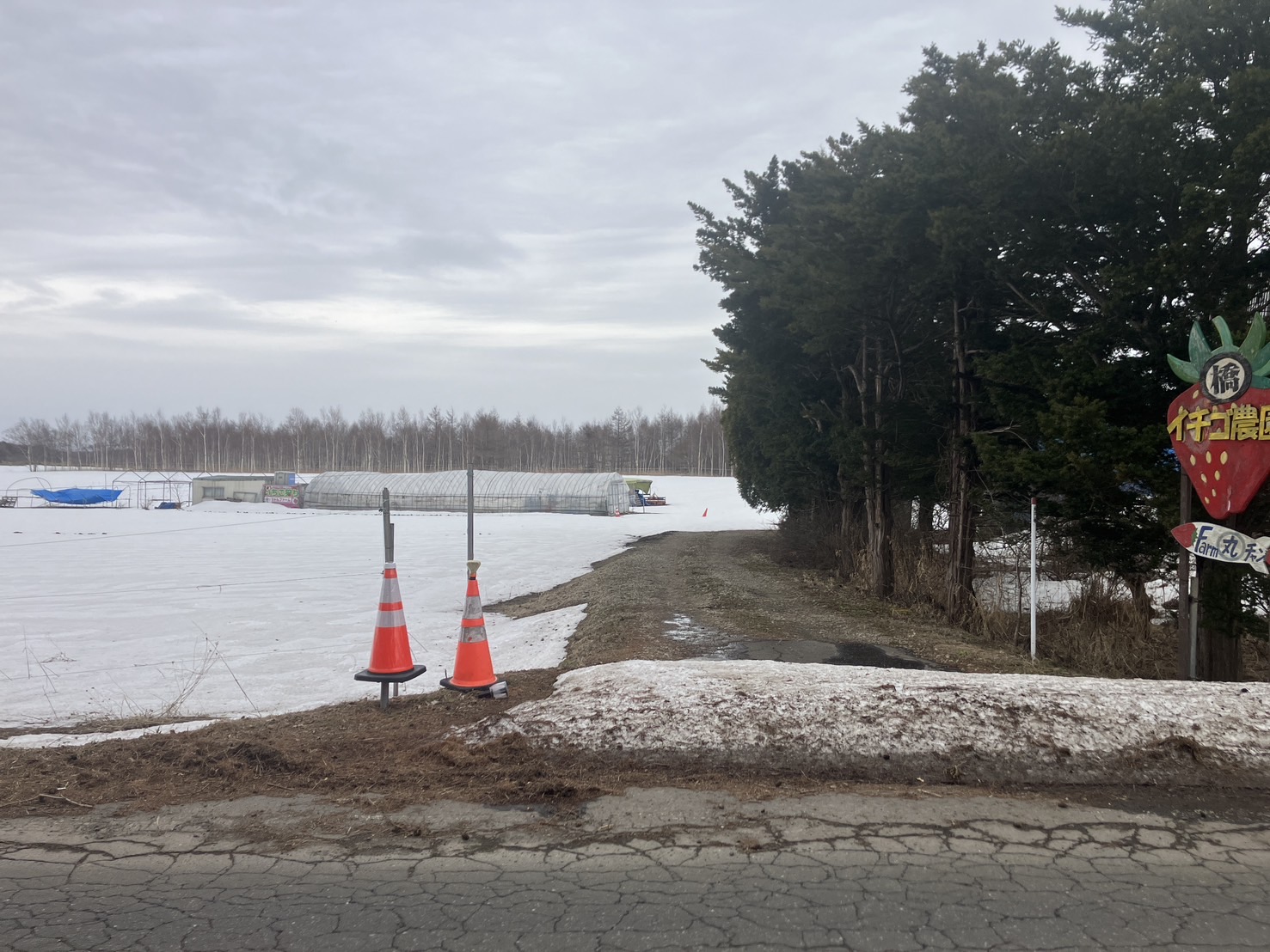 北広島市輪厚　古家付き農地